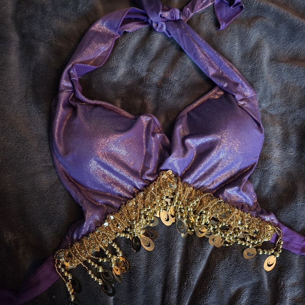 ☀️ 3/$15 - Purple and Gold Belly Dance Top